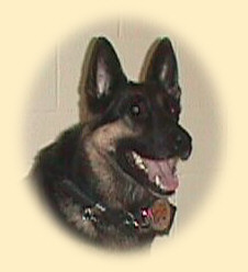This K9 is Grim. He was retired from service due to an injury in 2007 and passed away in August, 2009. and his handler, Deputy David Worman joined the Noble County Sheriff’s Department in December 2004, after having served as a deputy with the LaGrange County Sheriff’s Department.